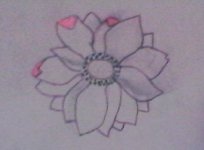 WIN_20210501_14_15_00_Pro.jpg