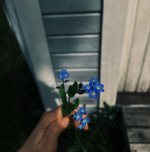9E02BF0A-01A3-4884-B392-ABEDD07E4BA7.jpeg