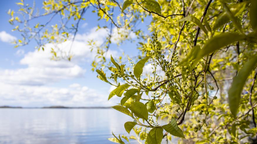 www.foreca.fi